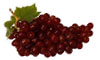 red grapes